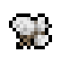 Cotton